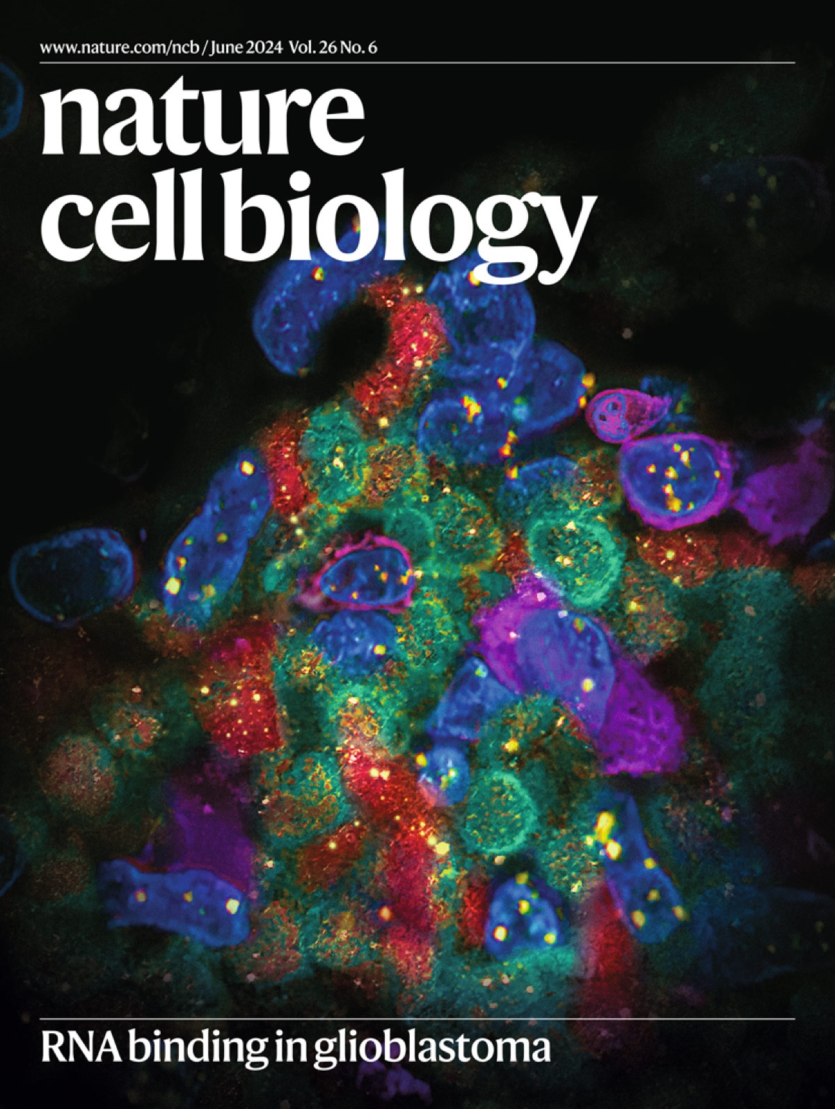 Specialized Journal Cover Design Service (rna-binding In Glioblastoma 