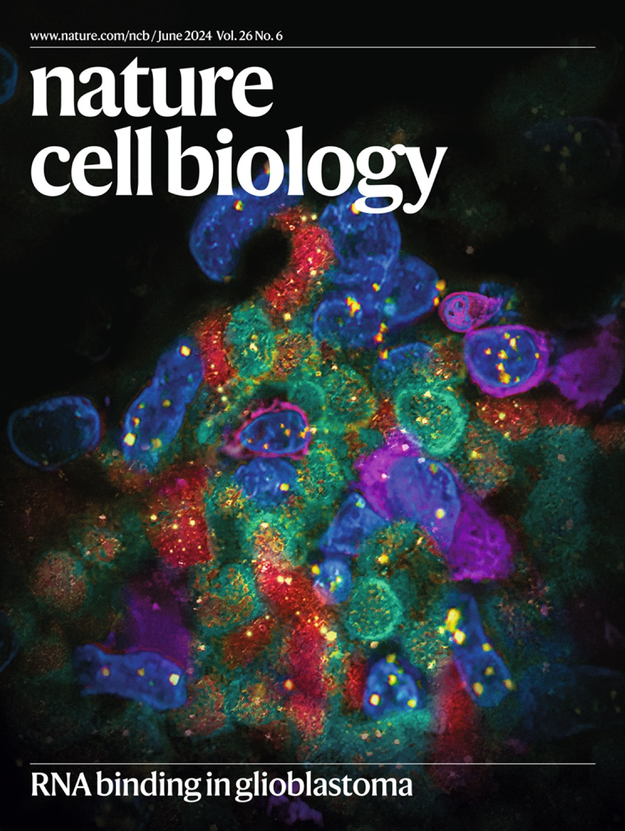 『Cover Story』Deciphering the tumor microenvironment: how RNA-RNA binding proteins reveal new targets for the treatment of IDH wild-type glioblastoma!